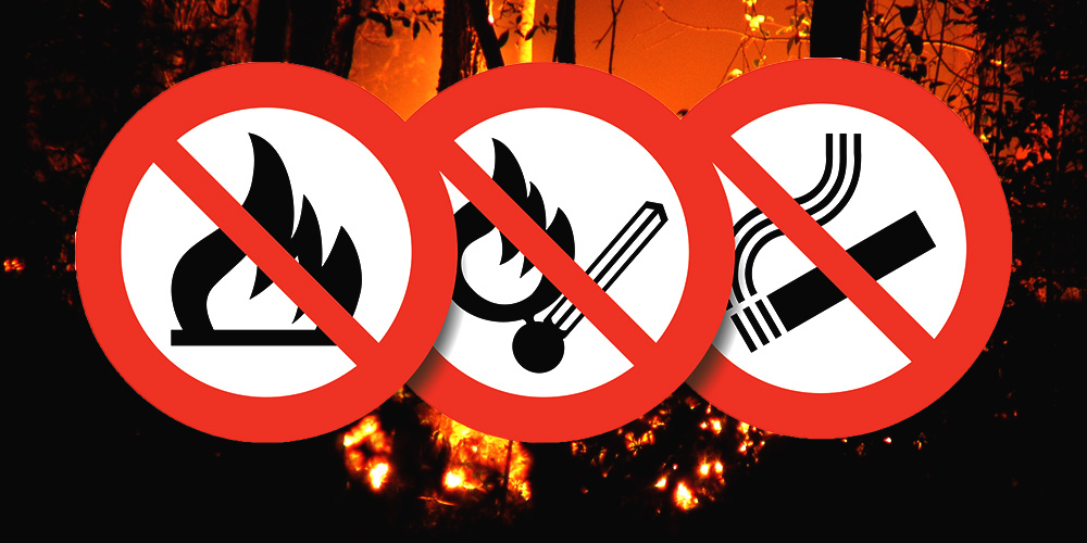 Általános tűzgyújtási tilalmat rendelt el a földművelésügyi miniszter